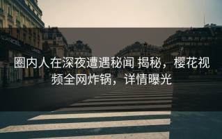 圈内人在深夜遭遇秘闻 揭秘，樱花视频全网炸锅，详情曝光