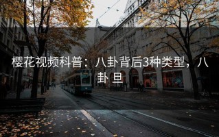 樱花视频科普：八卦背后3种类型，八卦 旦