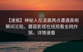 【速报】神秘人在凌晨两点遭遇真相 瞬间沦陷，蘑菇影视在线观看全网炸锅，详情速看