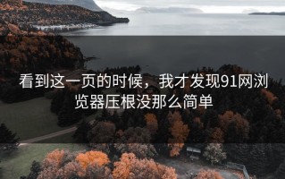 看到这一页的时候，我才发现91网浏览器压根没那么简单