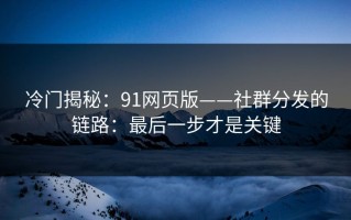 冷门揭秘：91网页版——社群分发的链路：最后一步才是关键