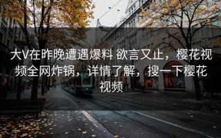 大V在昨晚遭遇爆料 欲言又止，樱花视频全网炸锅，详情了解，搜一下樱花视频