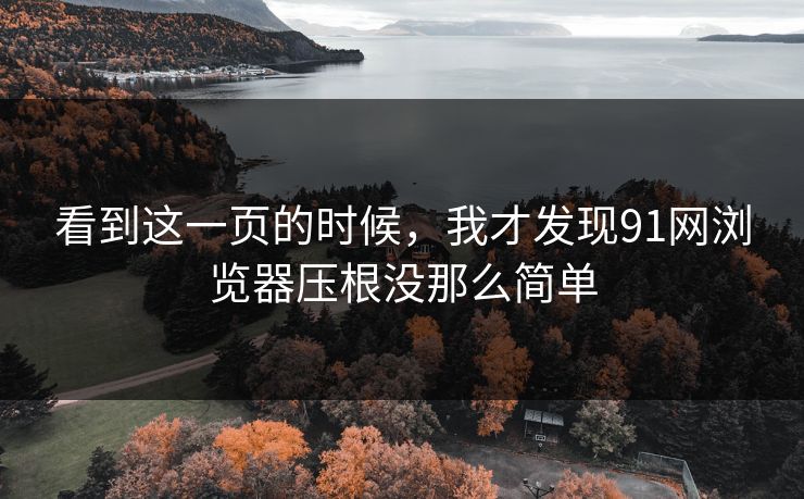 看到这一页的时候,我才发现91网浏览器压根没那么简单 看到这一页的时候,我才发现91网浏览器压根没那么简单